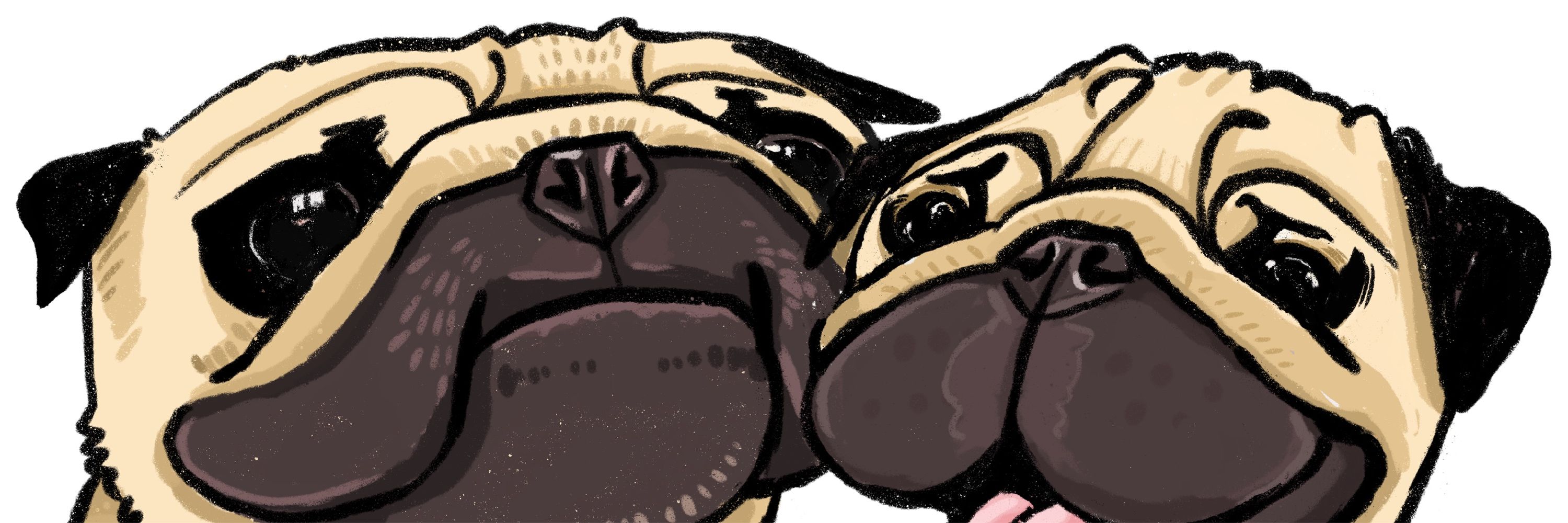 ごんたまちゃんねる