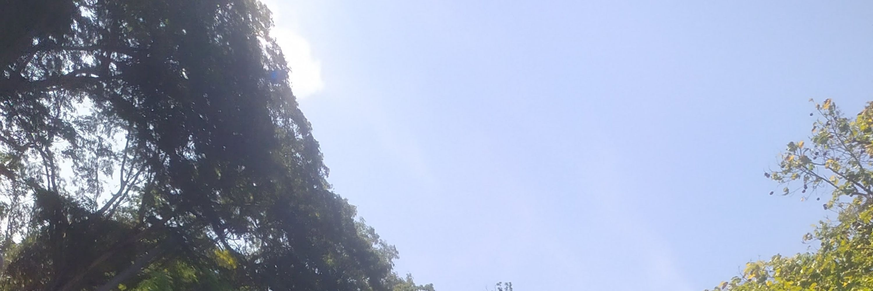 CMCP