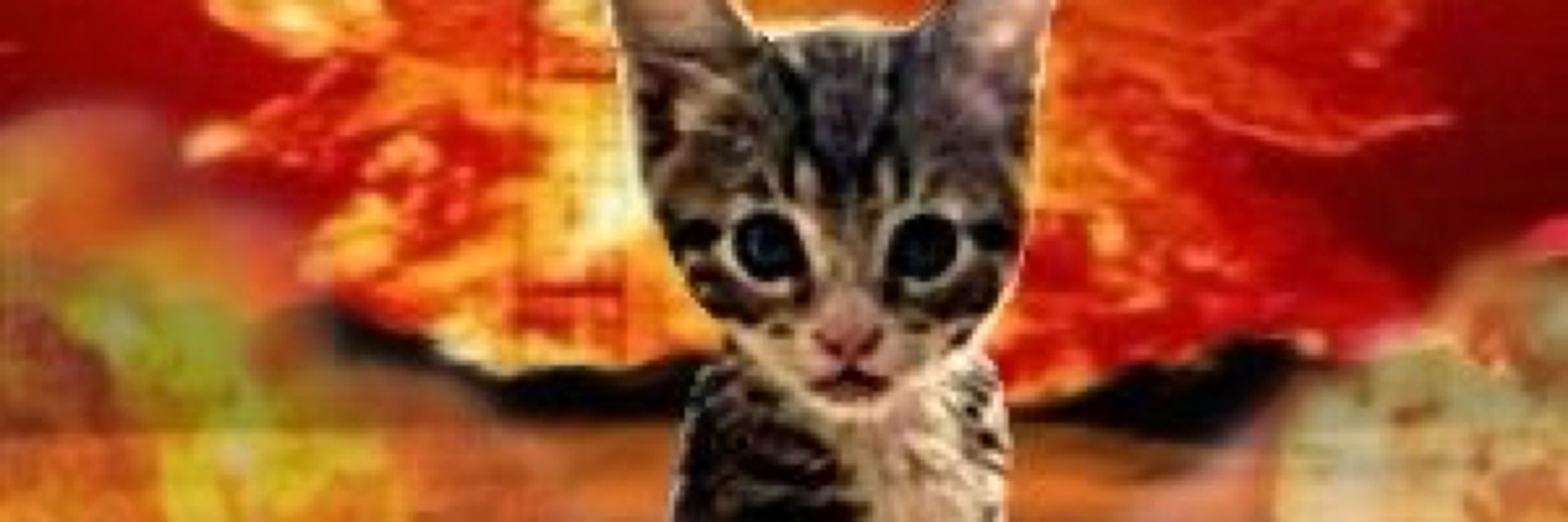 mo :p