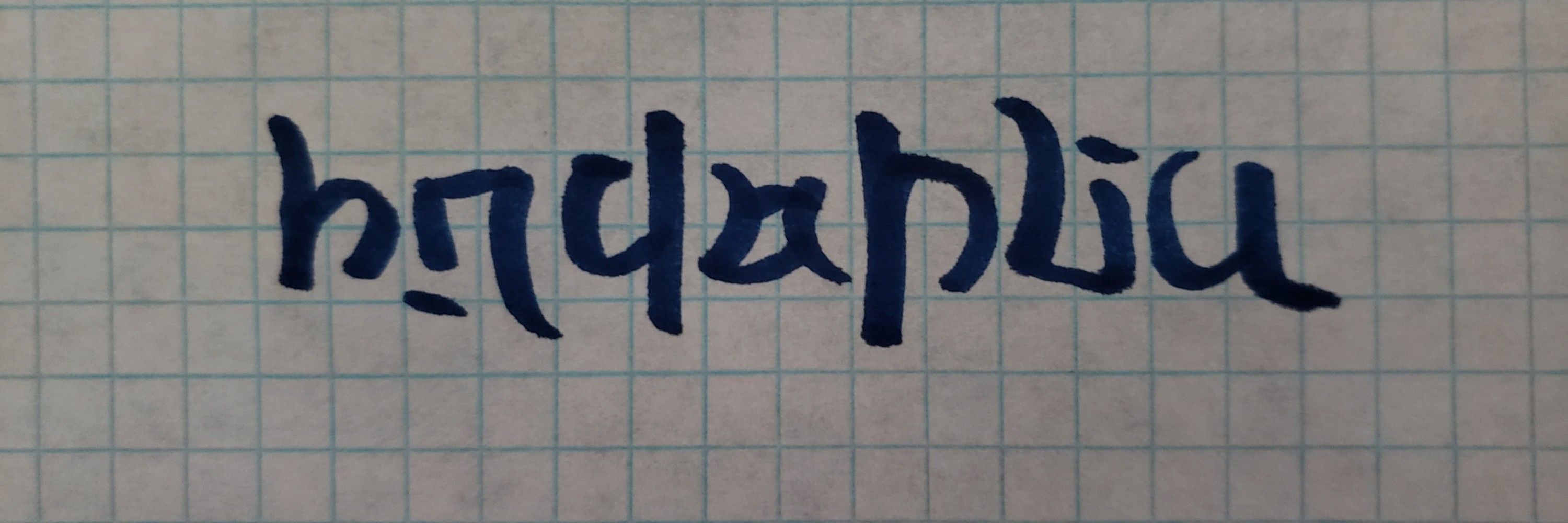 Floopy