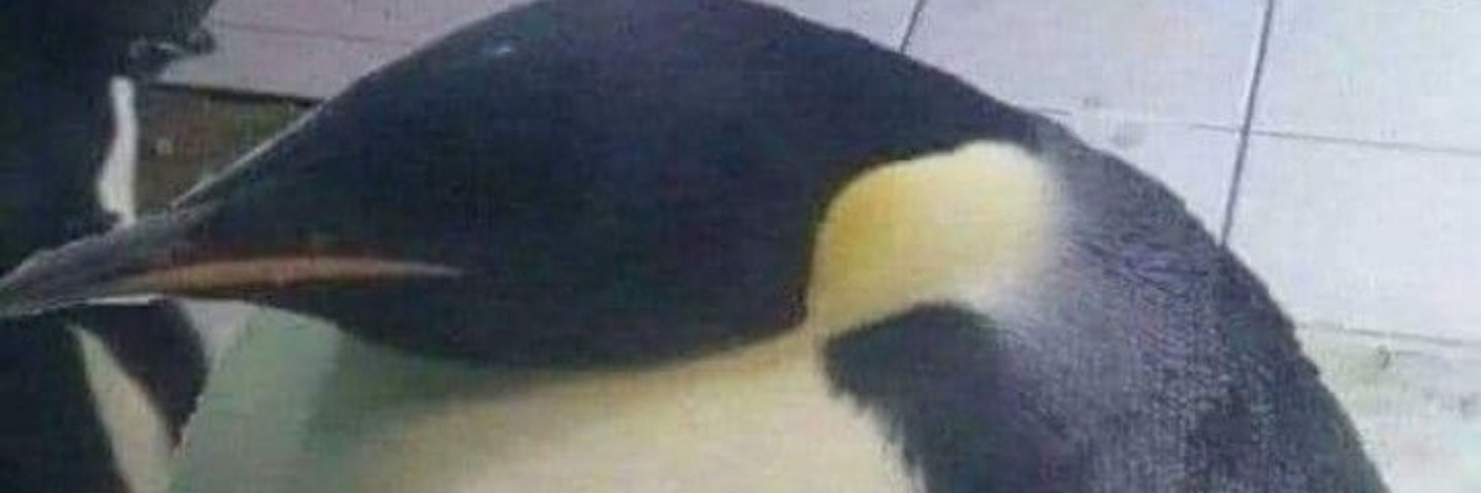 TiTLE0112
