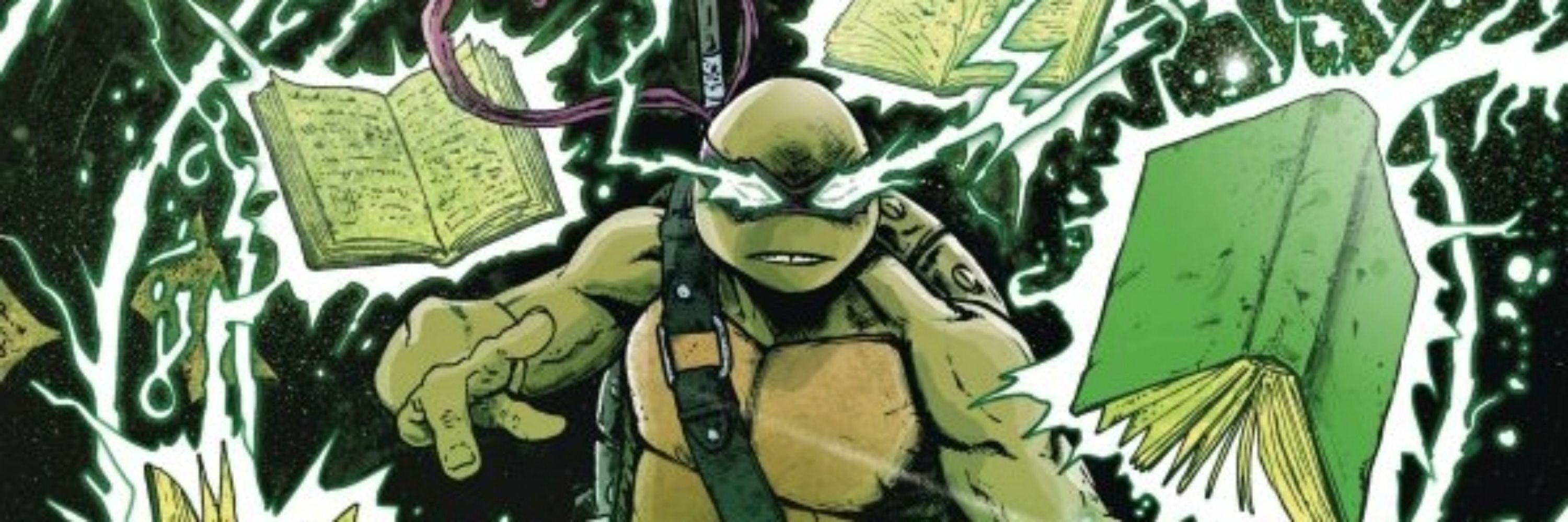 Turtle the Wizard