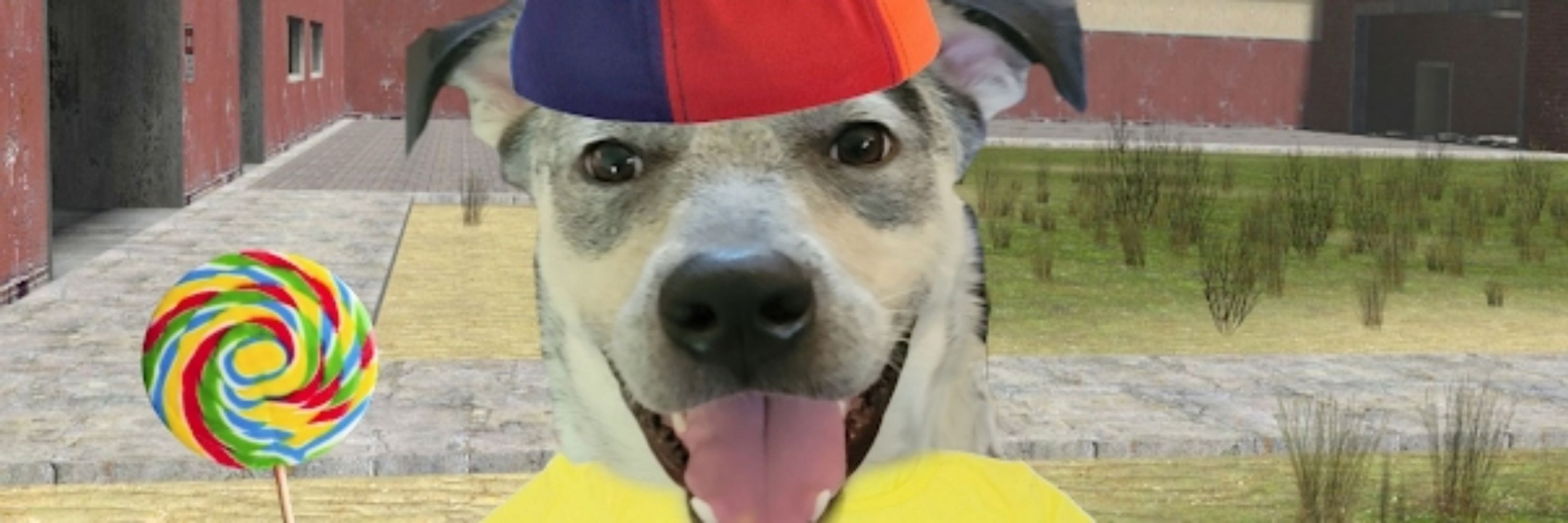Bluey