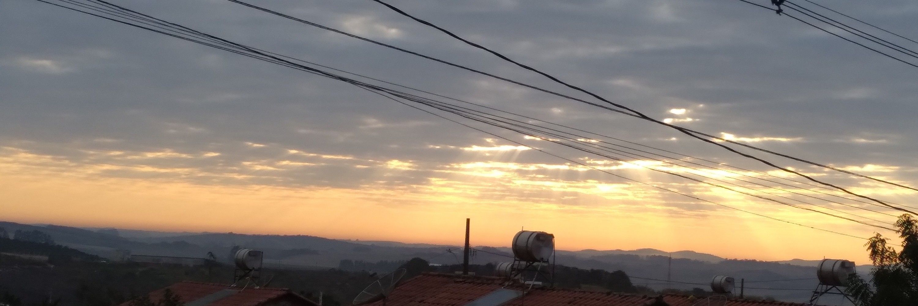 Papaula