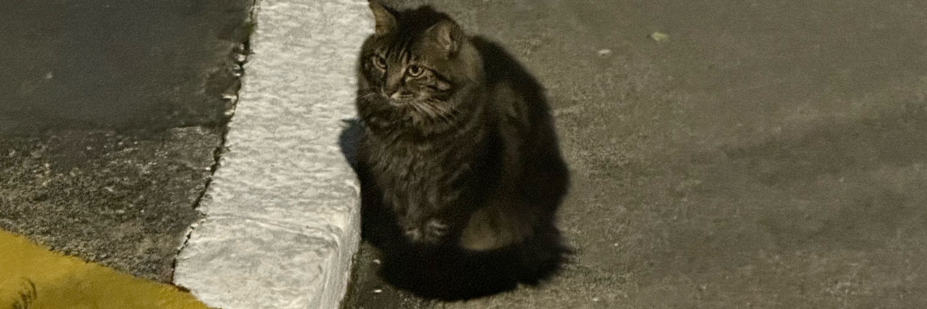 gab