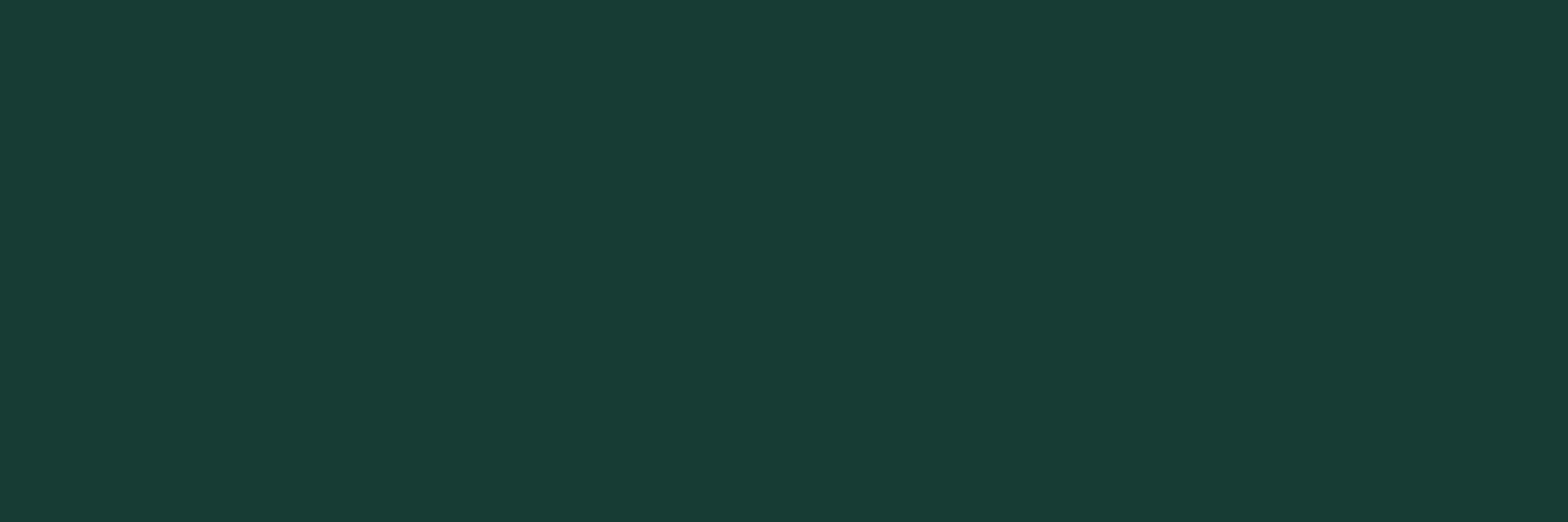 Jade Evergreen 🟢On Hiatus🟢