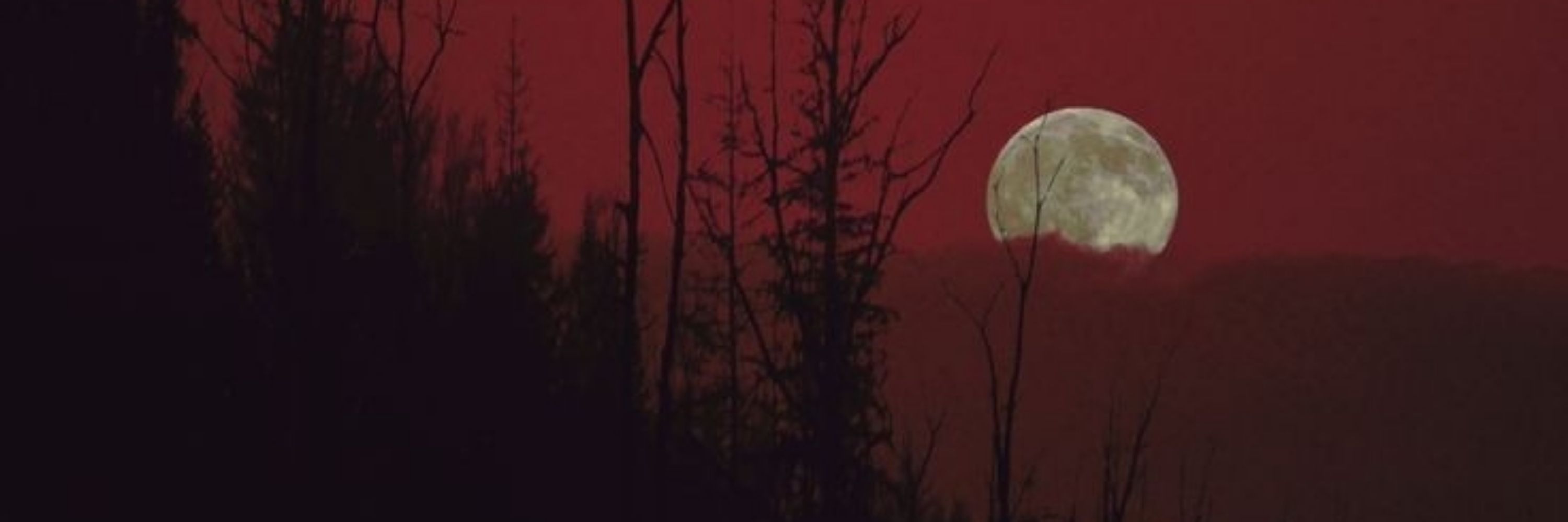 scarling