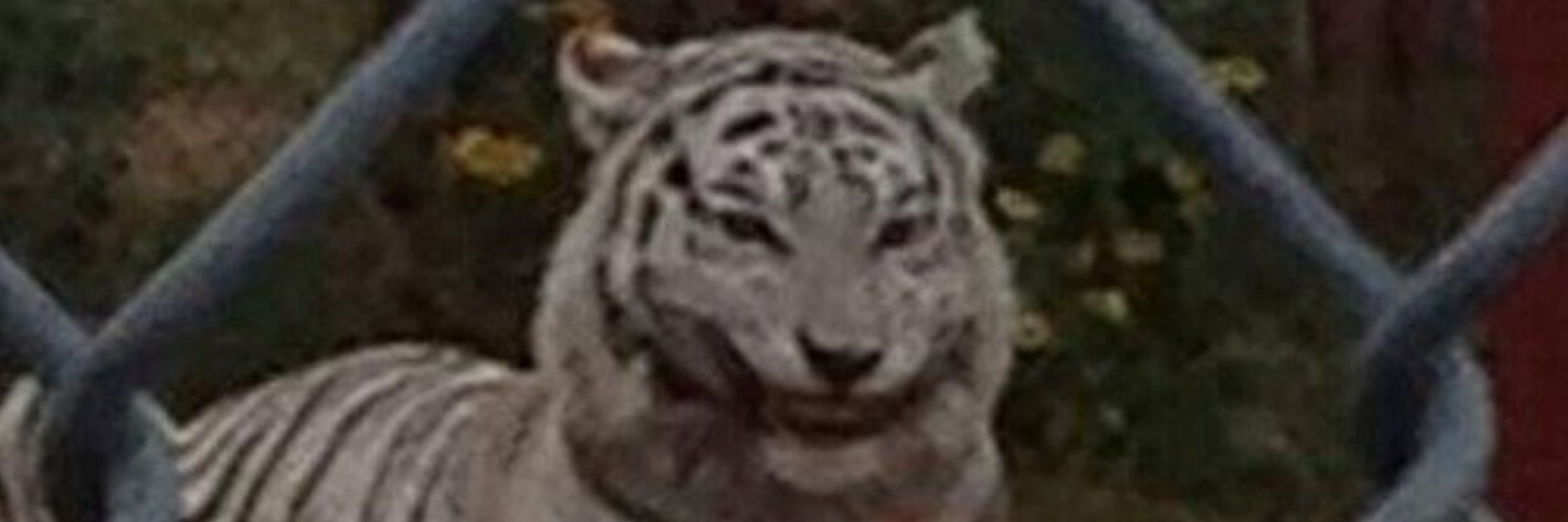 le