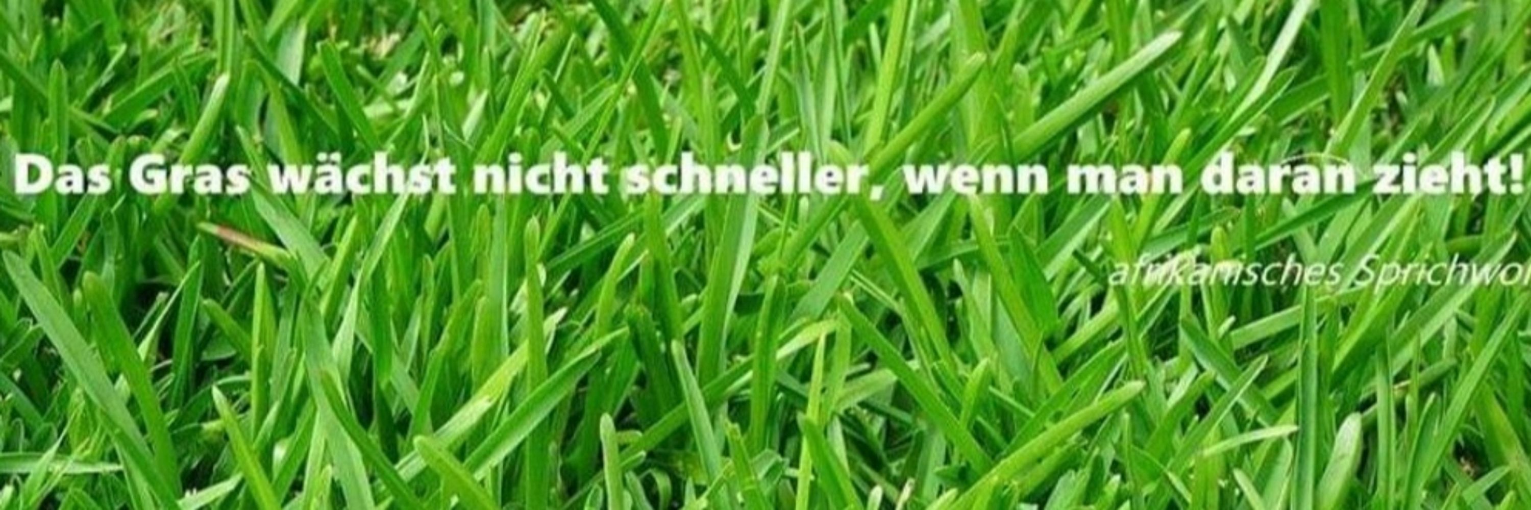 Woismeiwhatever🎗️