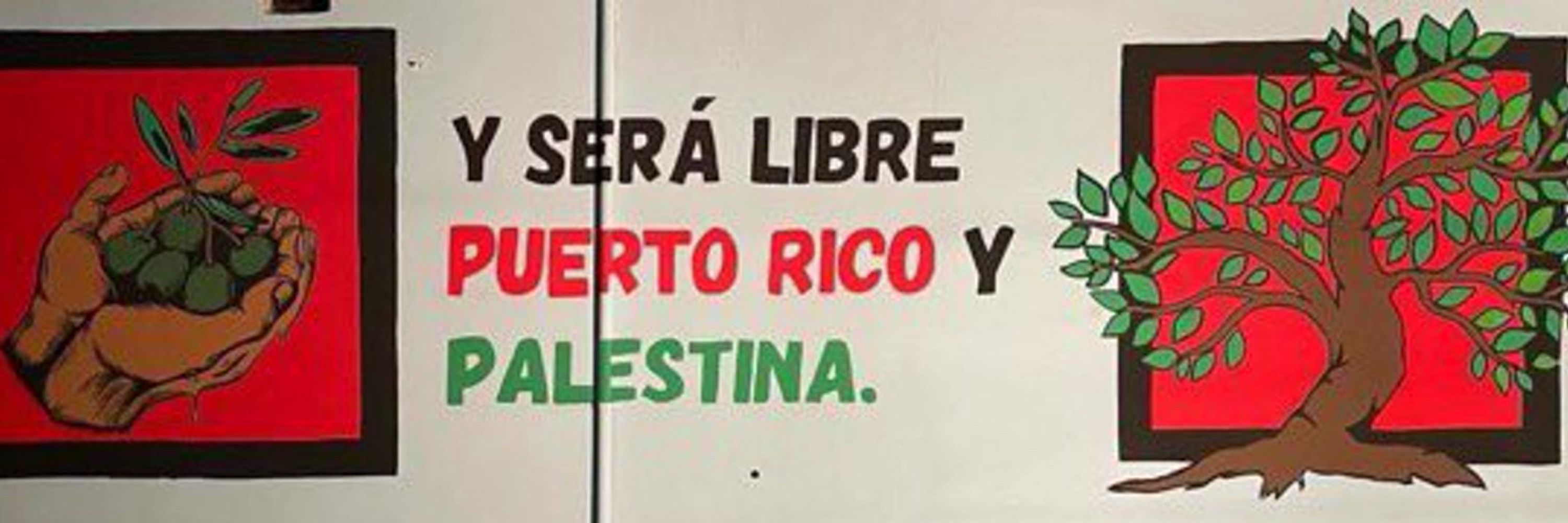 El de Isabela 🇵🇷🇵🇸