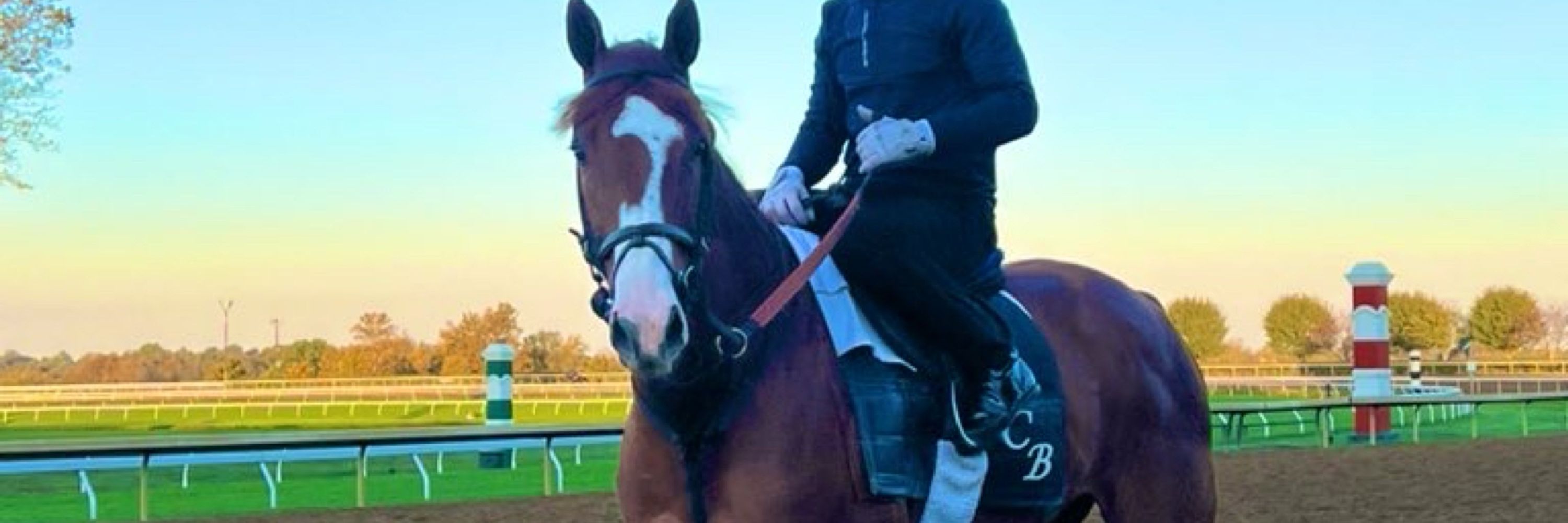 Steph Stradivarius Justify Carl Sierra