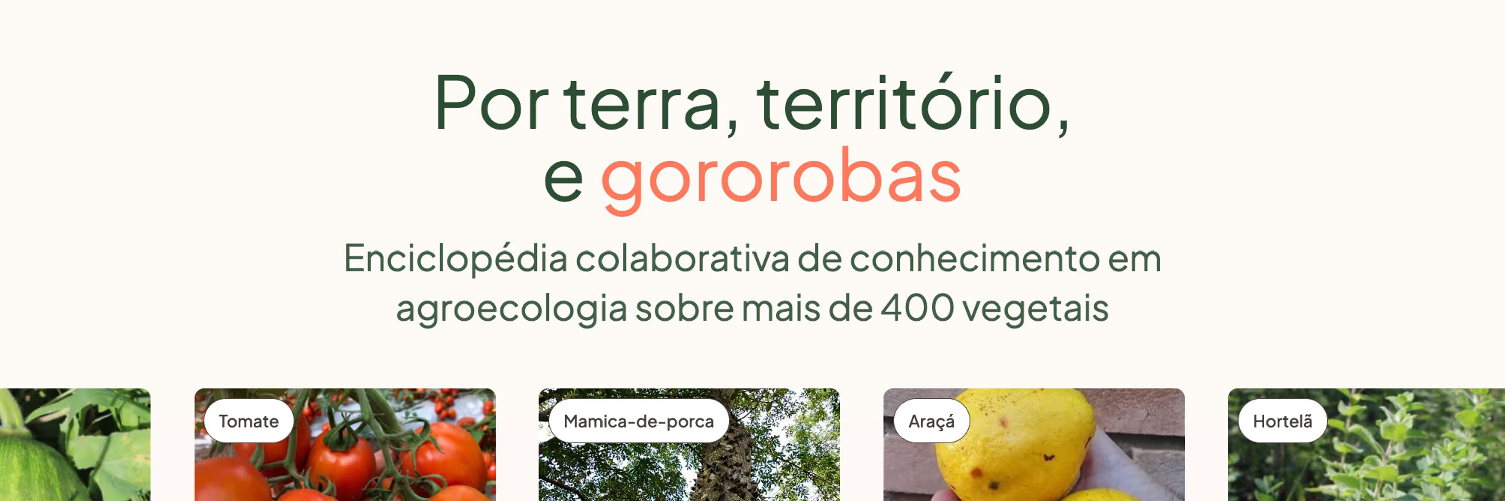 Gororobas Agroecologia
