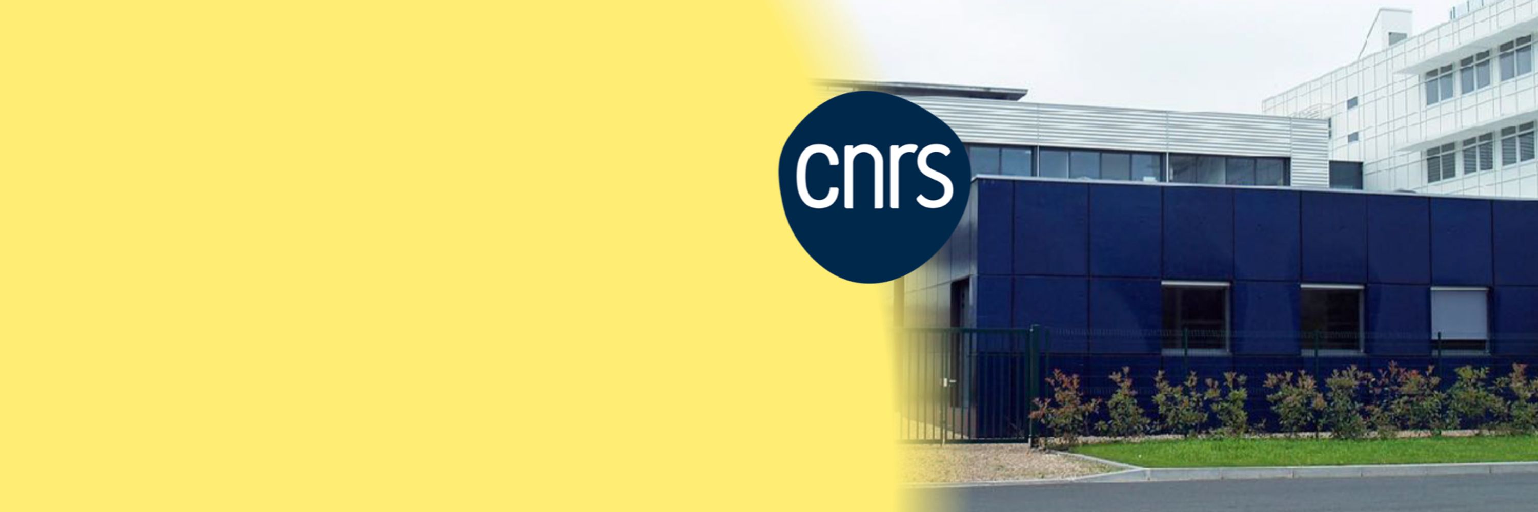 CBM CNRS UPR4301