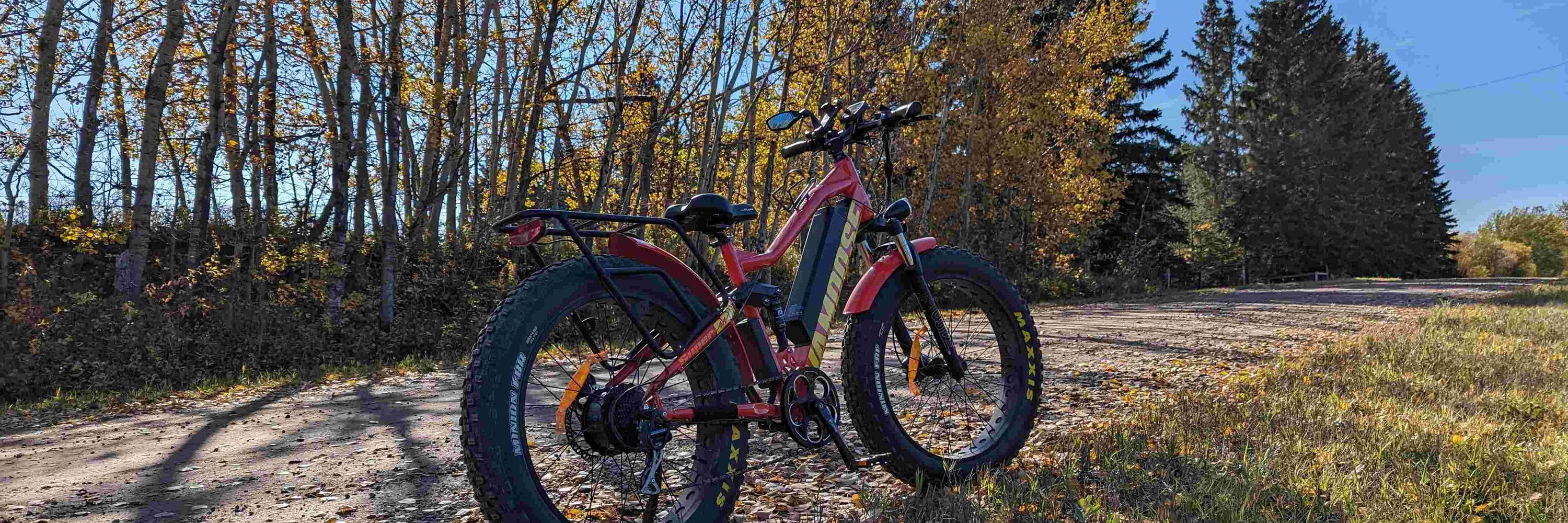 eBikersDen