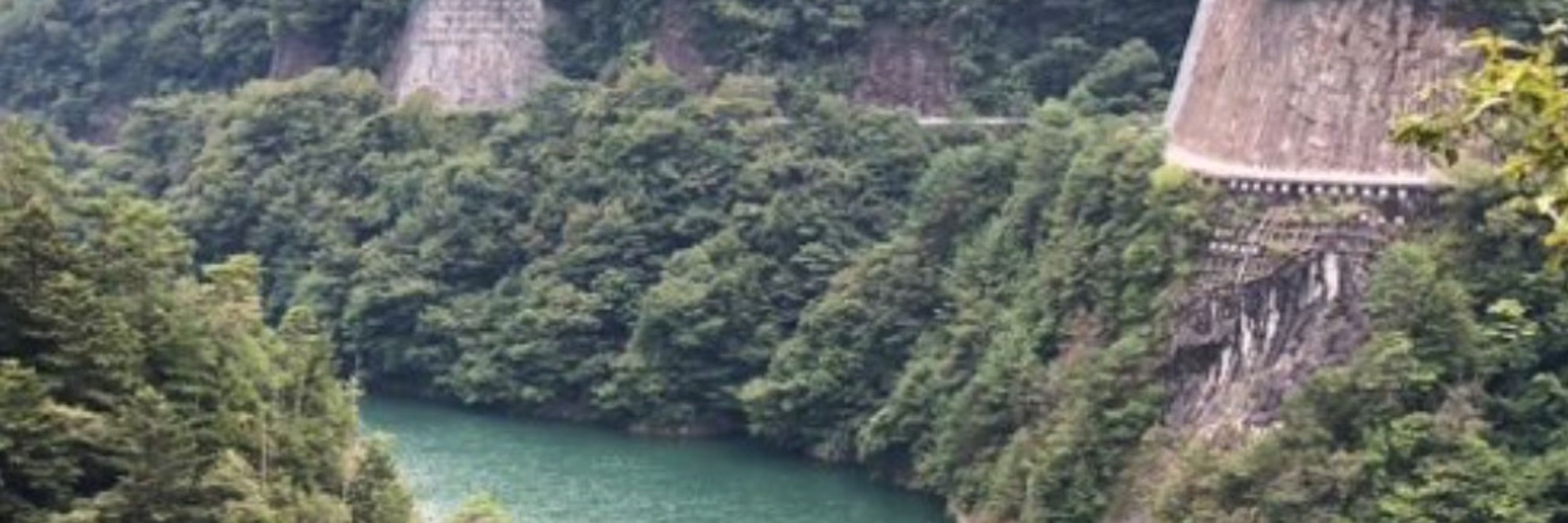 千鳥すいほ