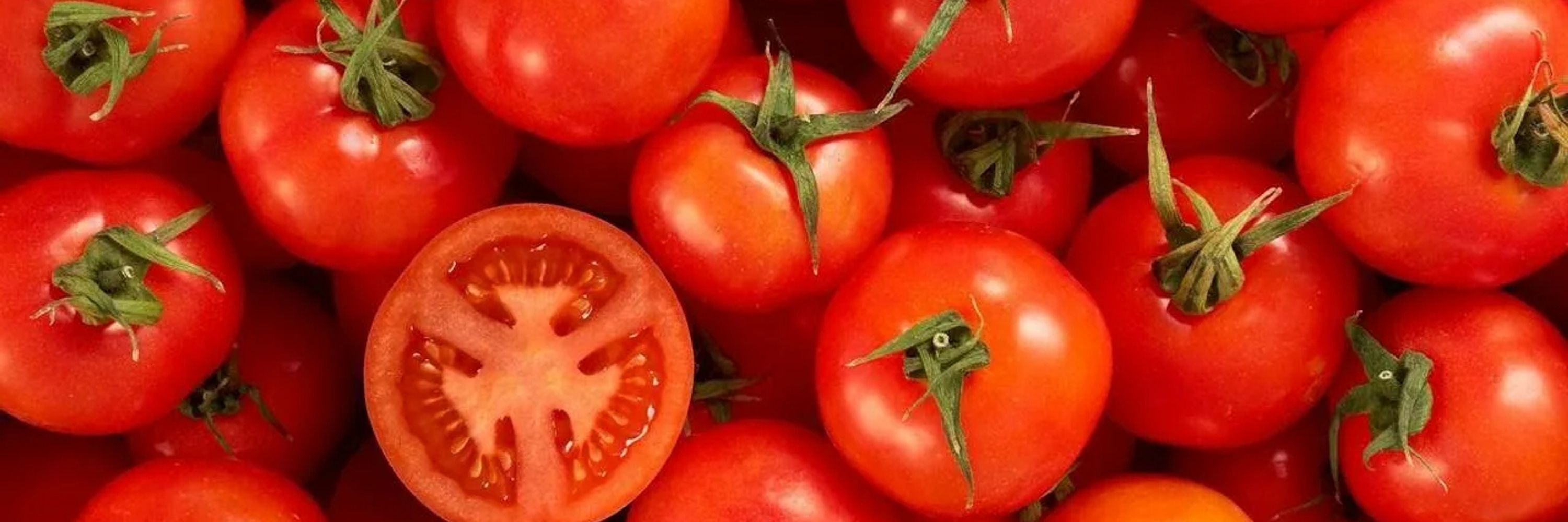 SourTomato1