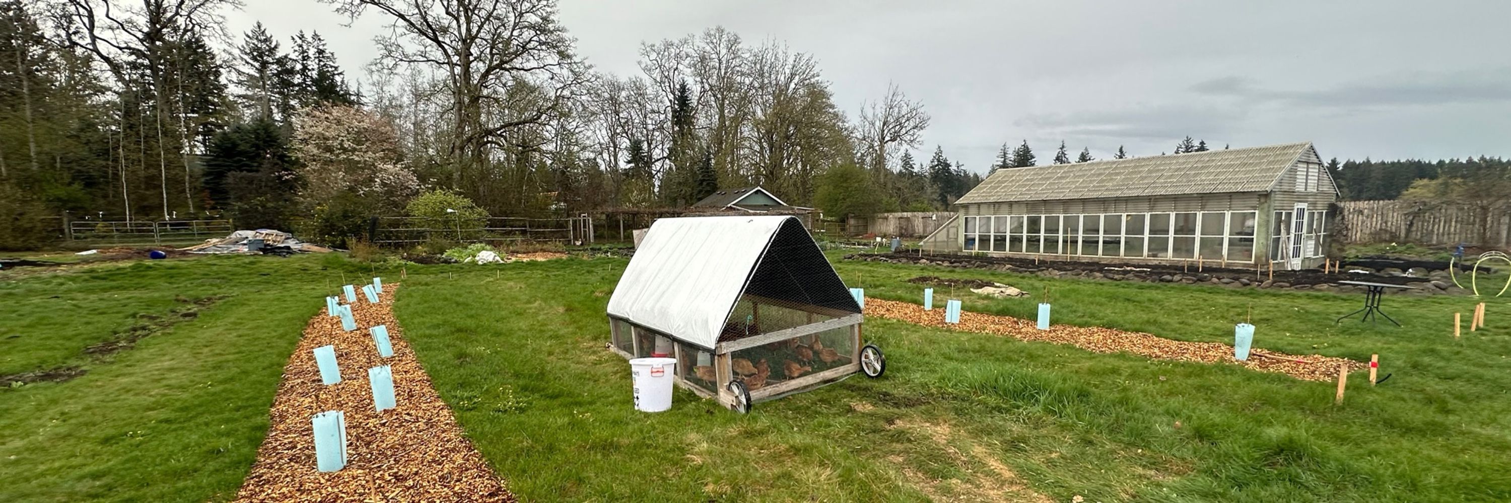 Cosmic Carrot Farm