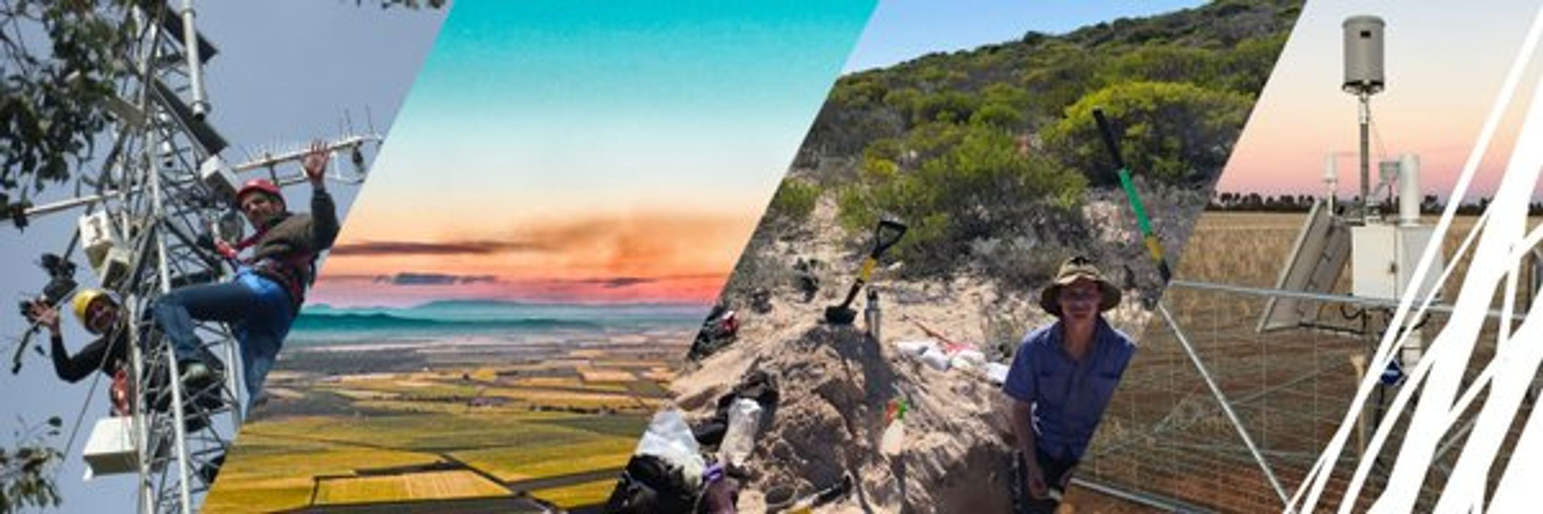 TERN Australia