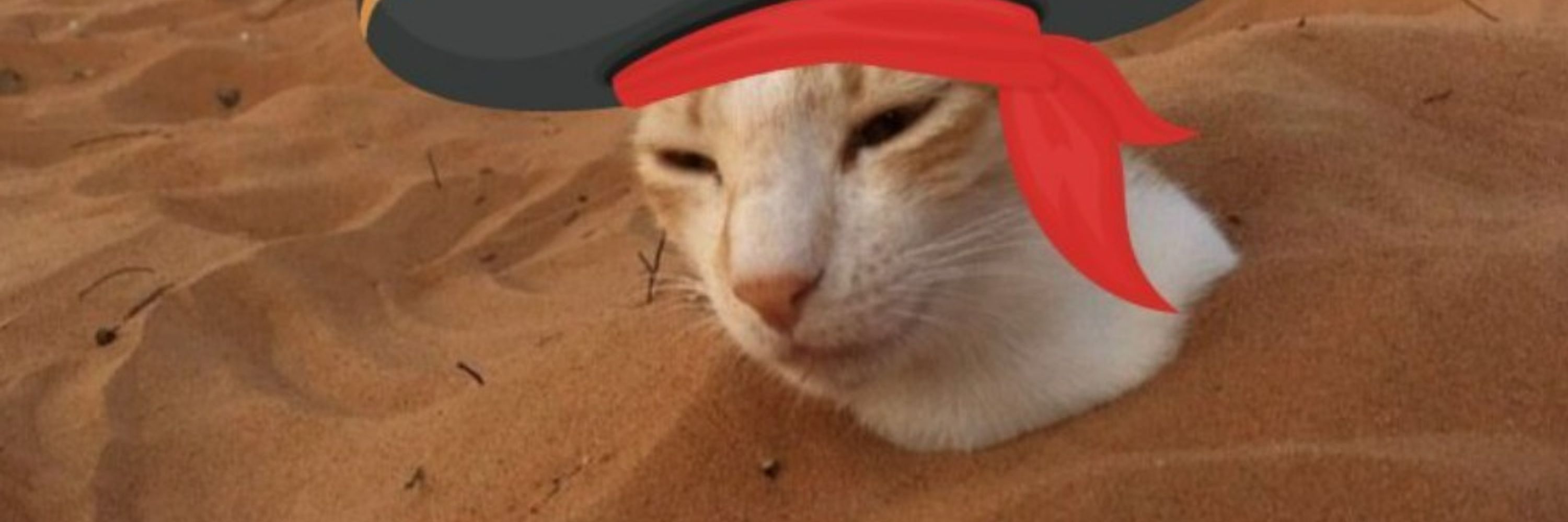 Pixel