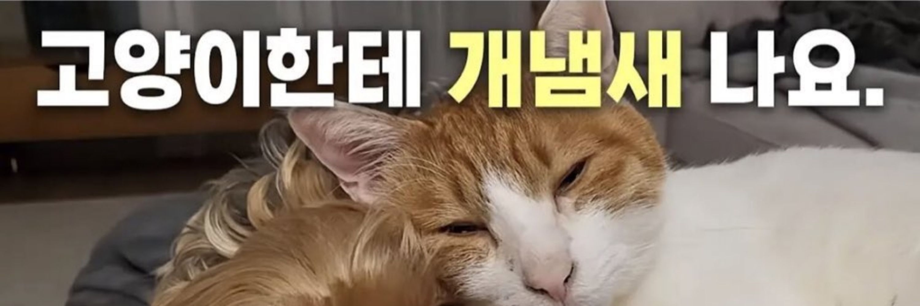 SIN (엄마를 탐하는 자..)