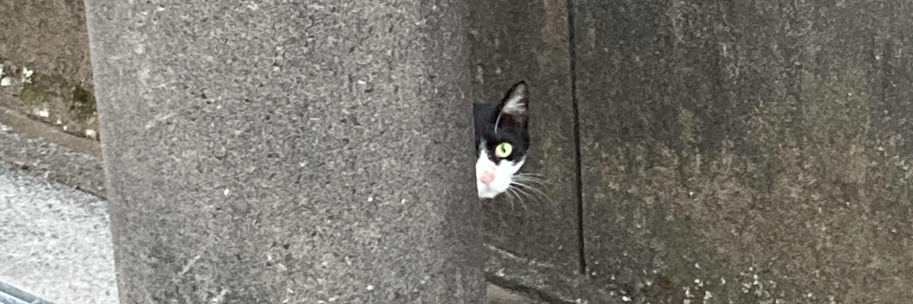 脇が甘い