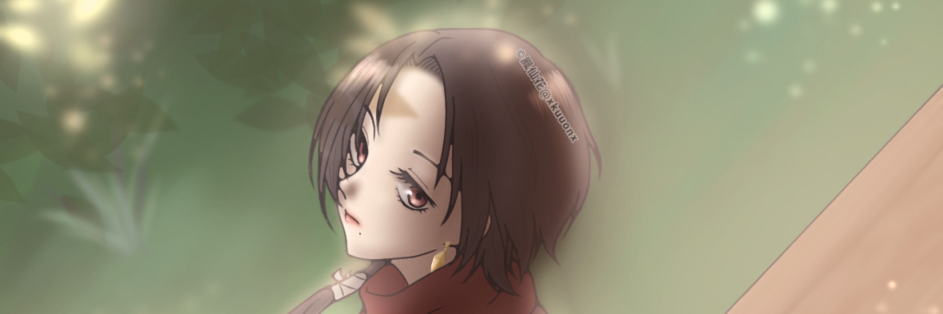鳳仙花