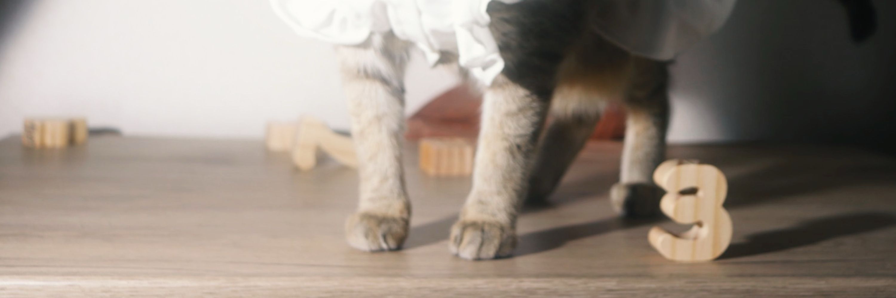 ℂ𝕙𝕖𝕟𝕚𝕟