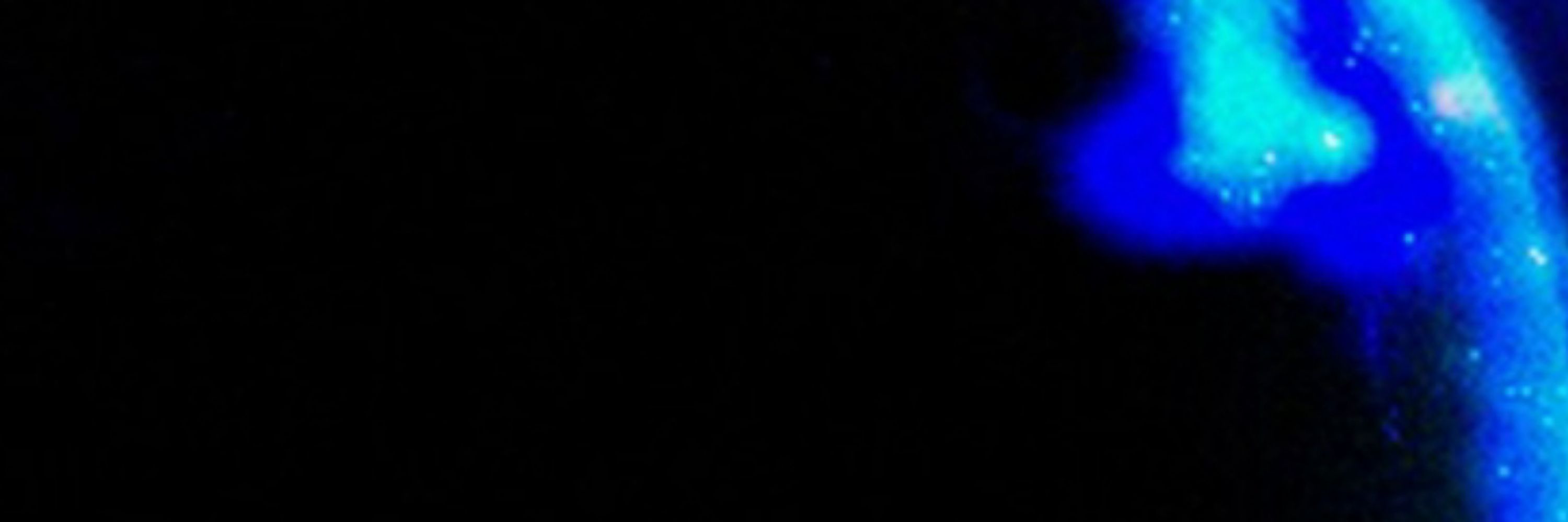 Penguiin - Core 🌌