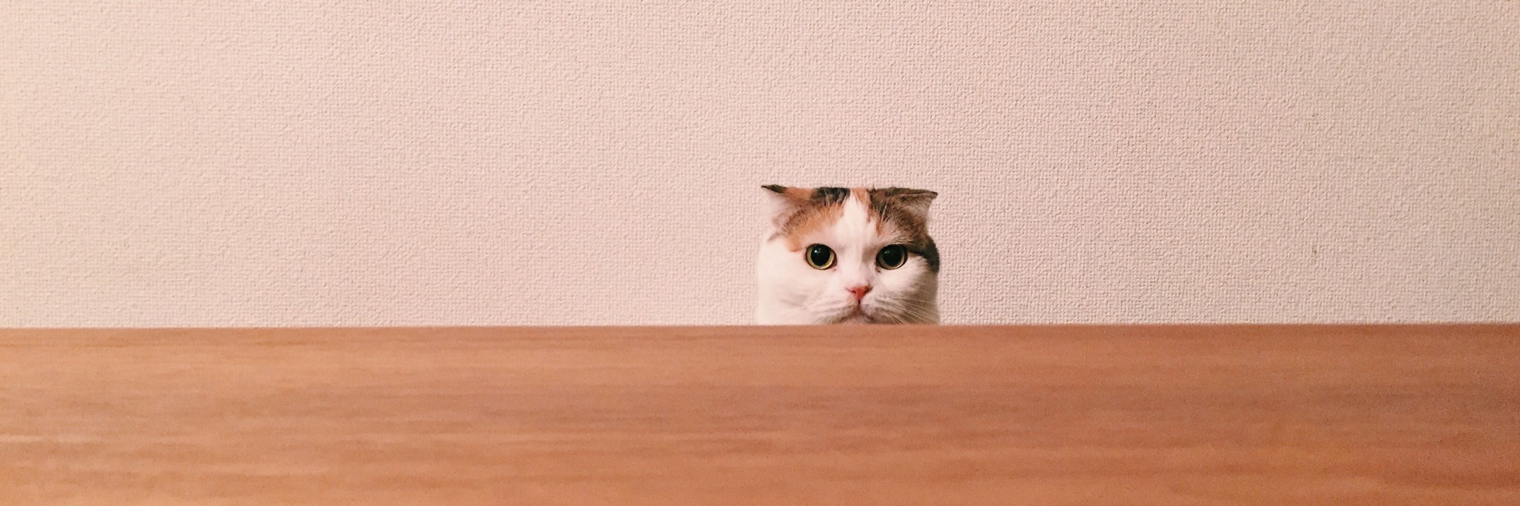 ぬるこ