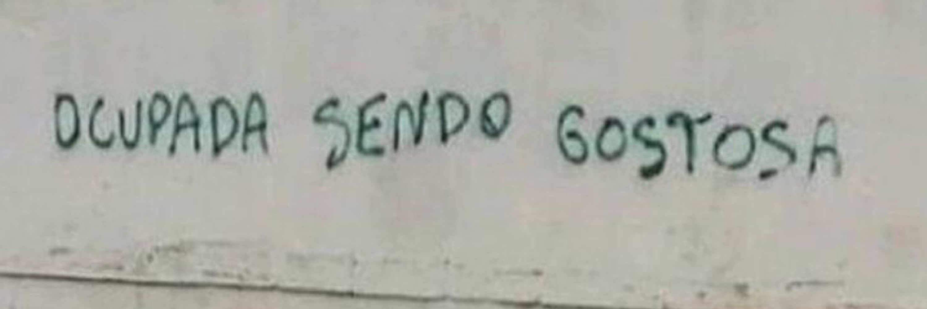 ste 🌻