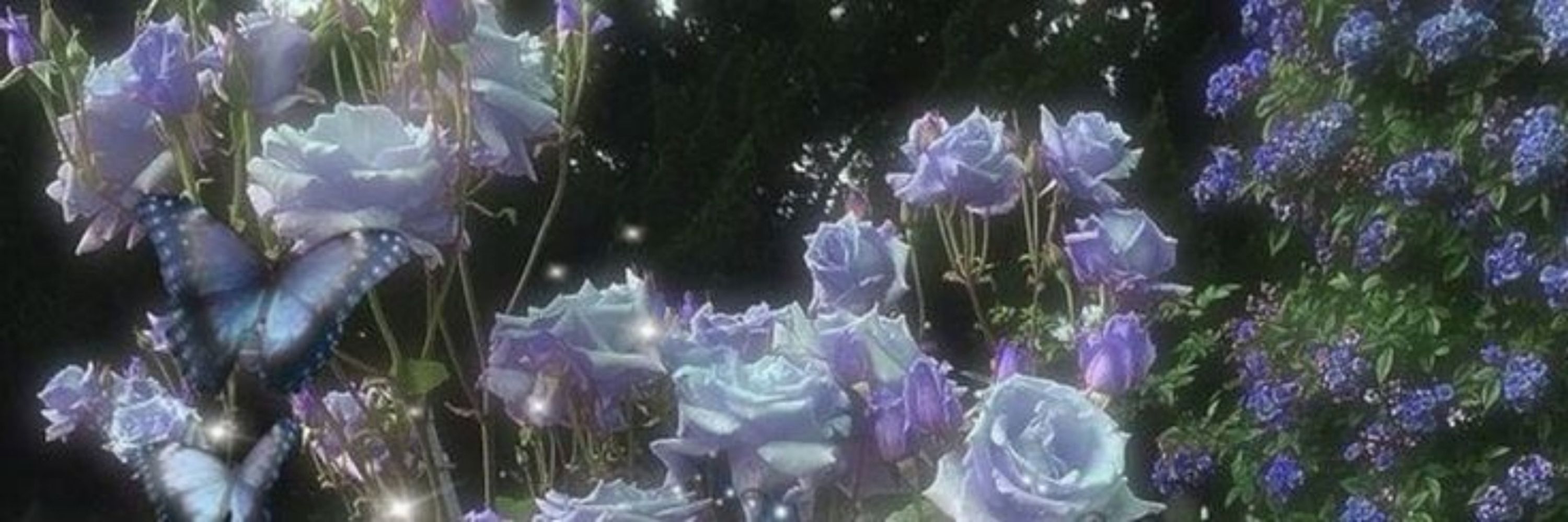 деми найтингейл🥀🌟