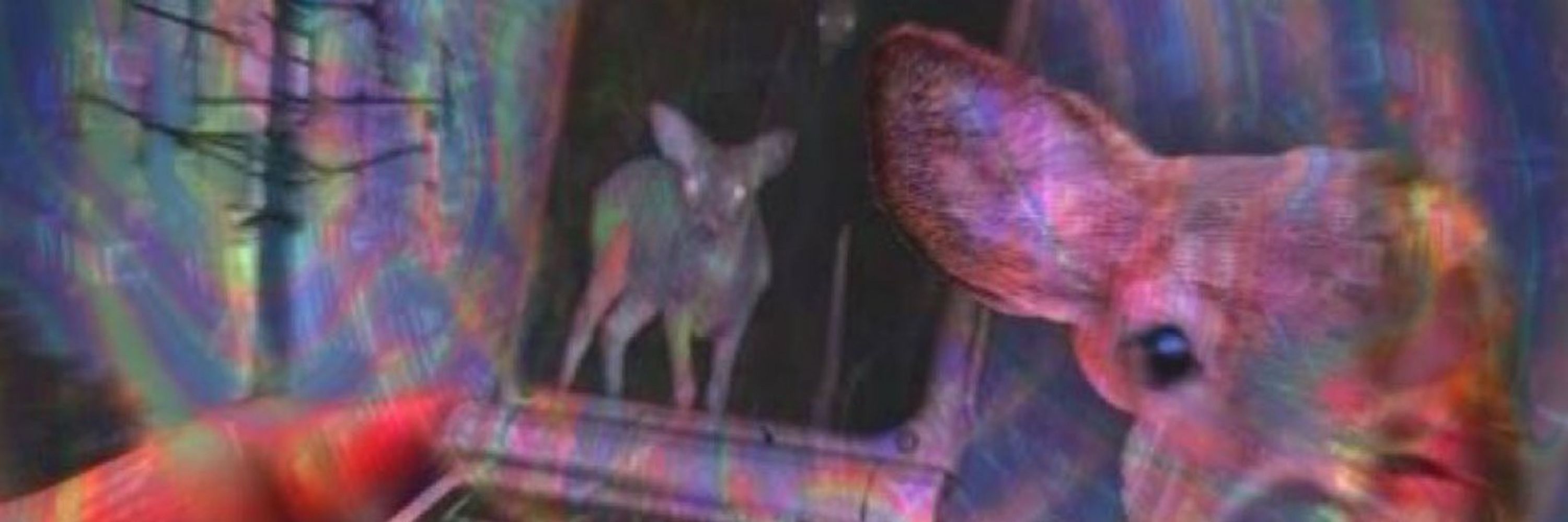 ∘˙𓅾𓈒𖥔ₐᵤd