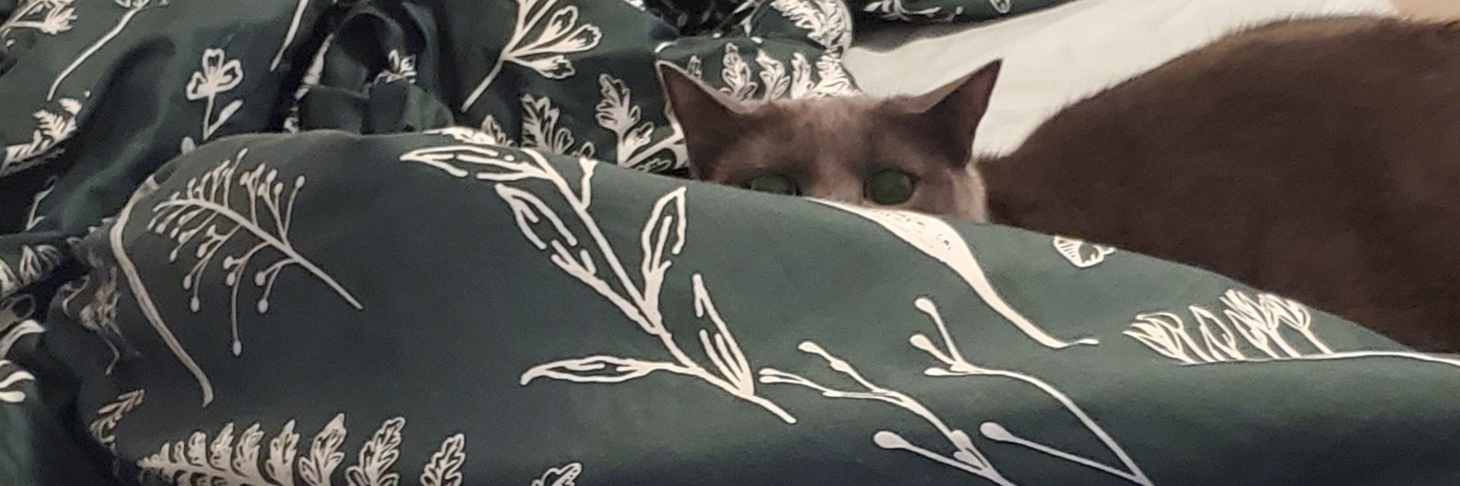 Penelope