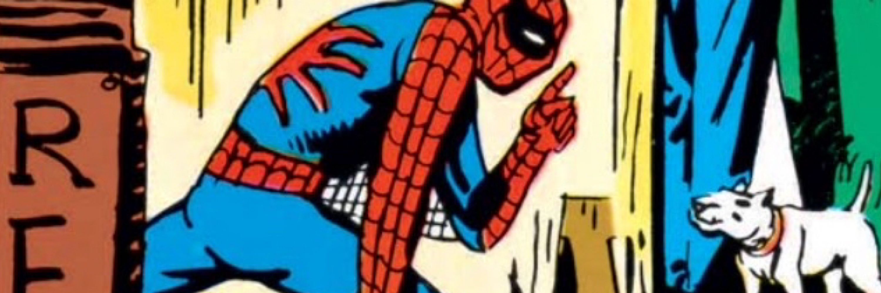 No Context Spider-Man
