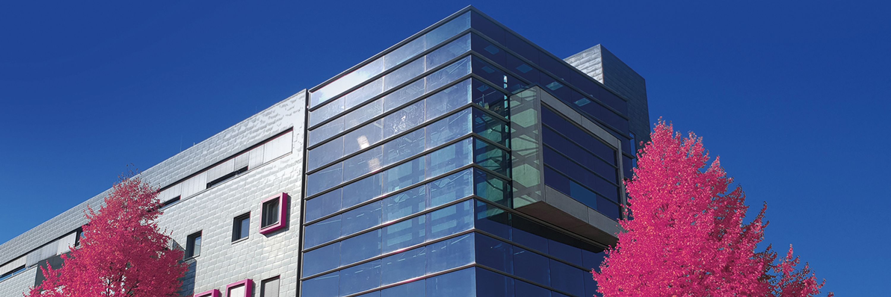 CiS Forschungsinstitut für Mikrosensorik GmbH