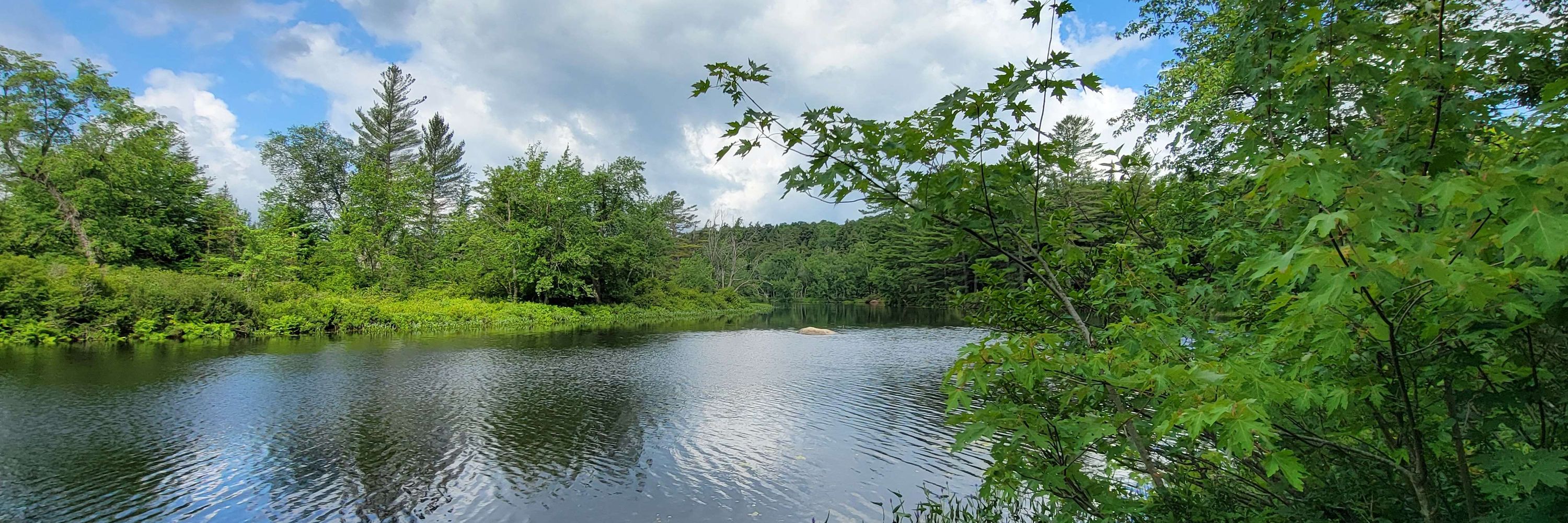 GLOSAM_IUCN