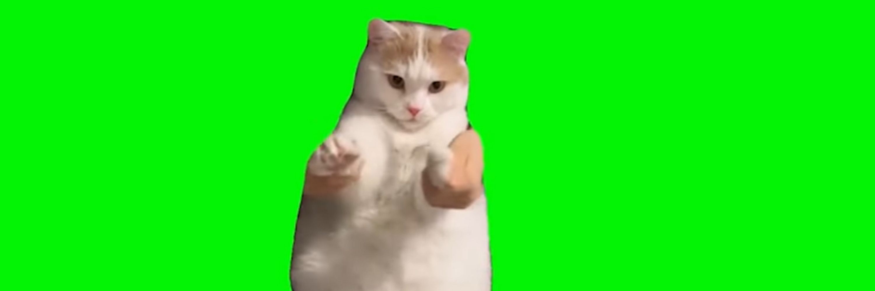 かませ
