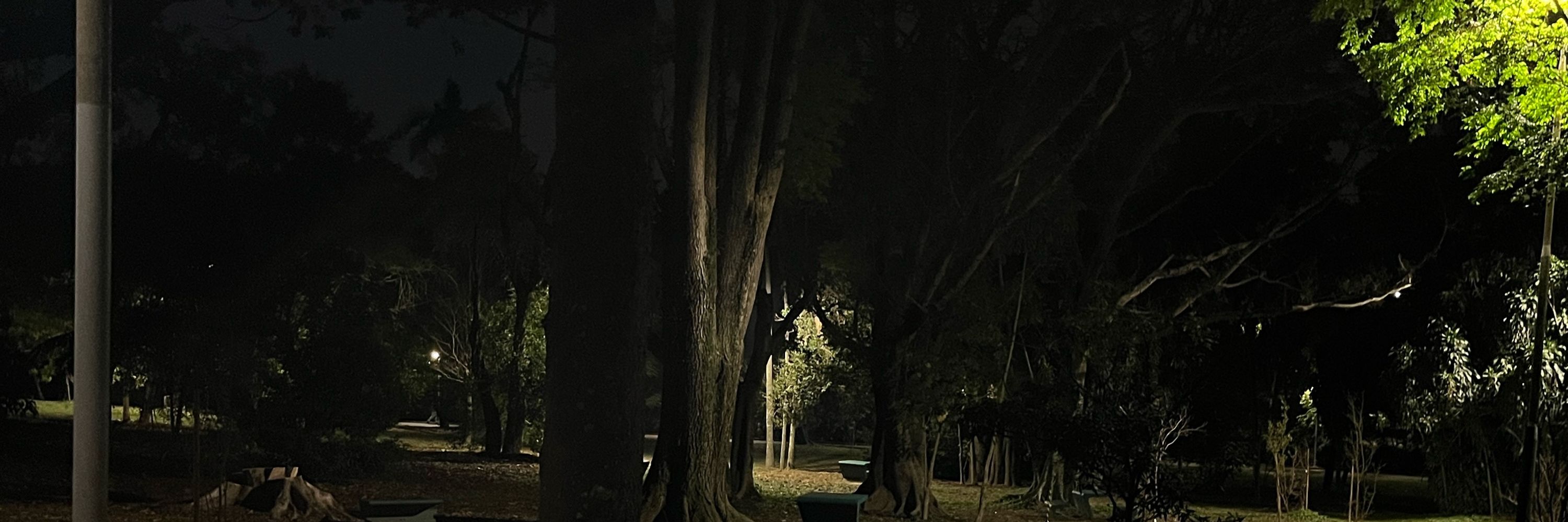 Eckocô