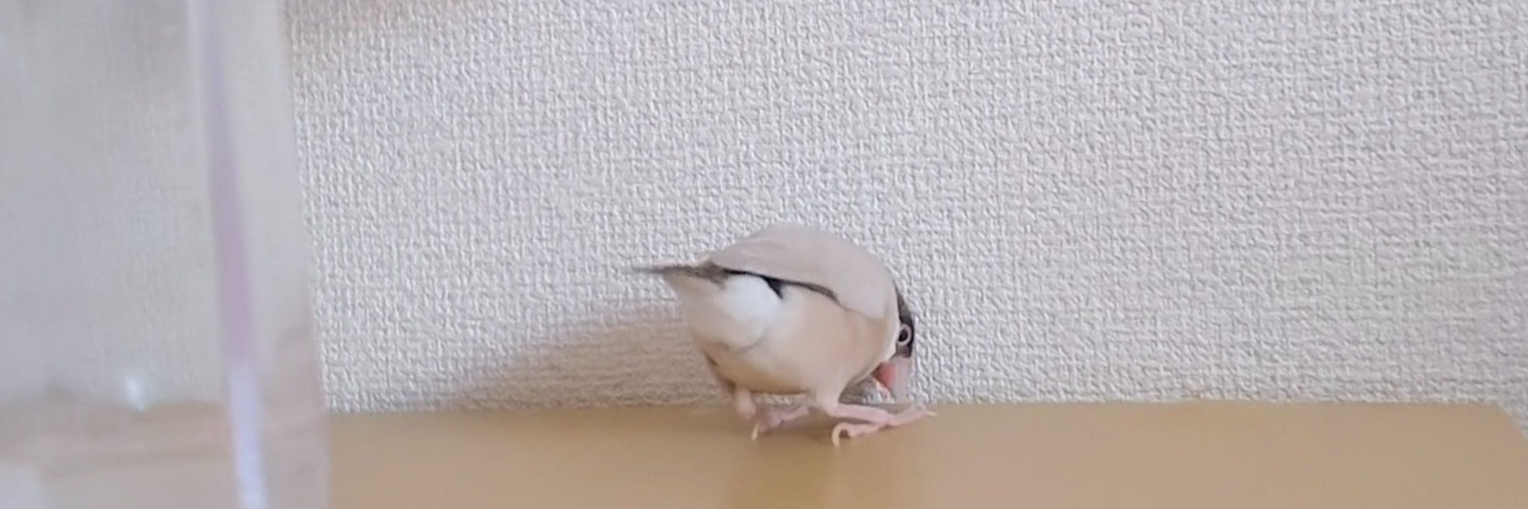 ㋶
