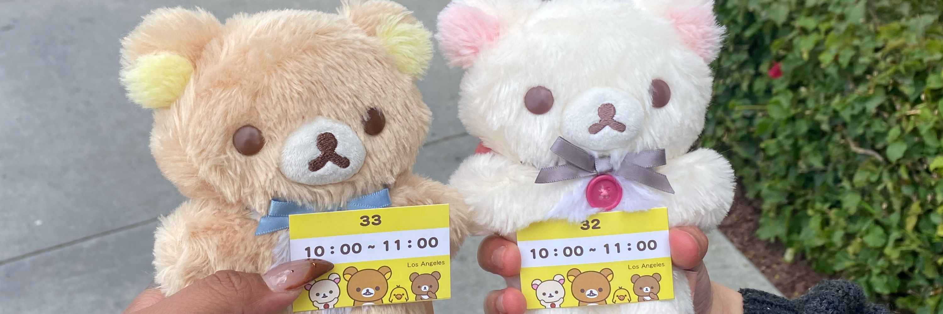 ʕ•ᴥ•ʔ♡