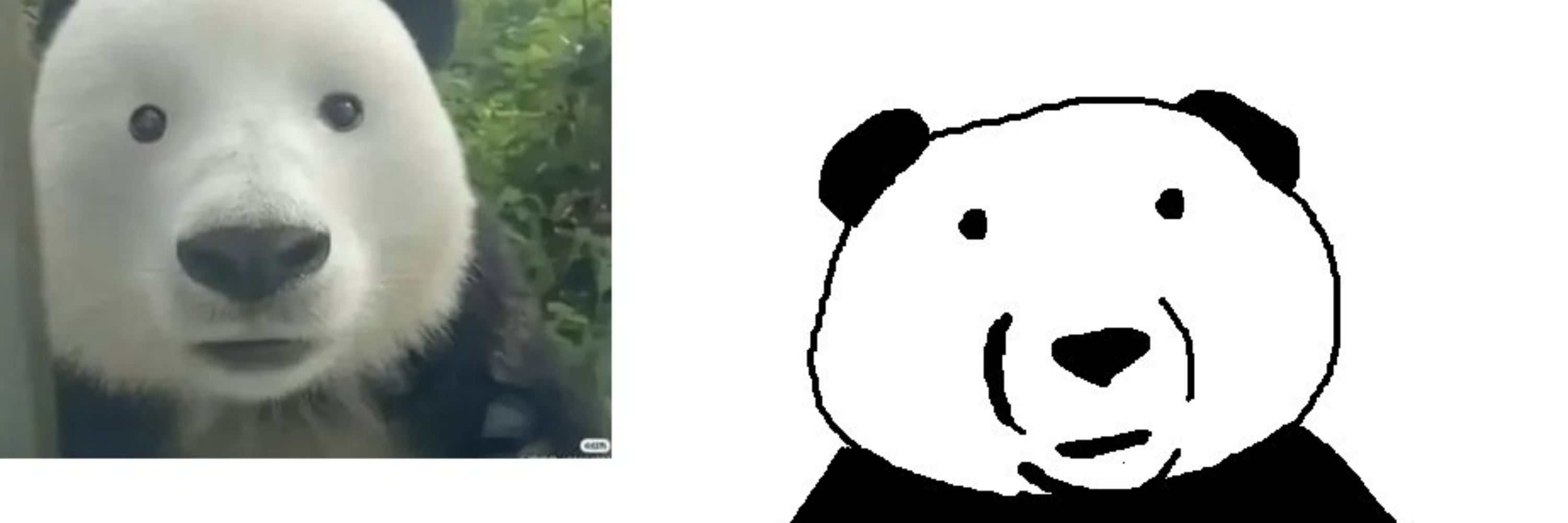 MrJosh