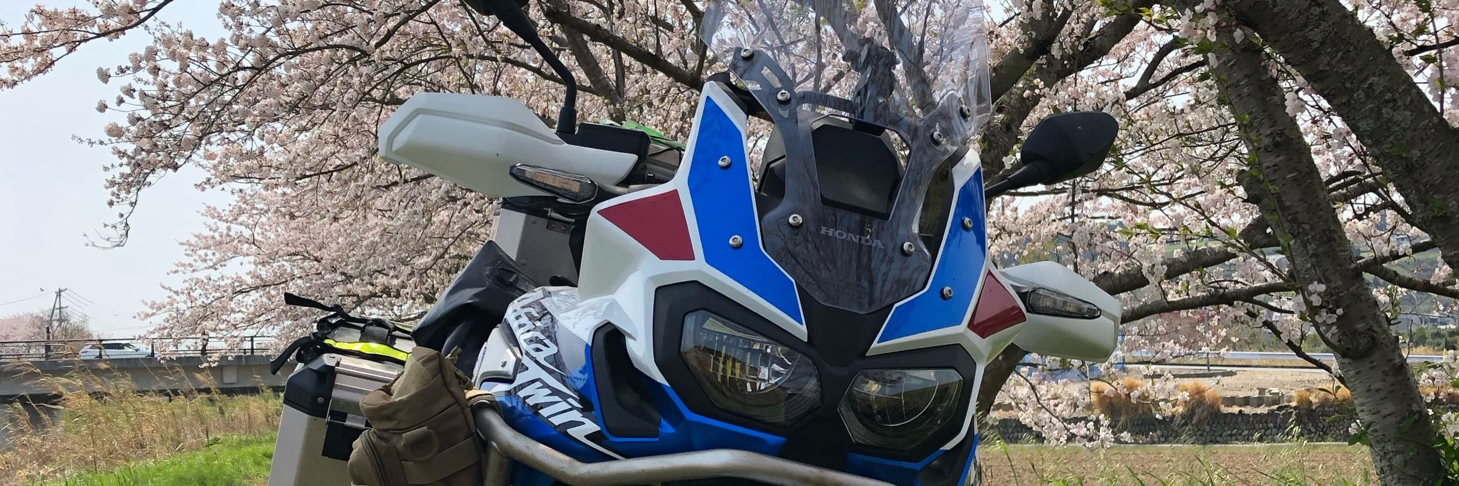 シュート