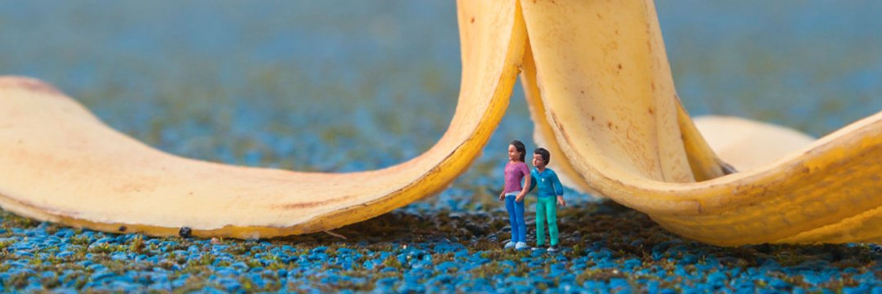 De Bananenschil