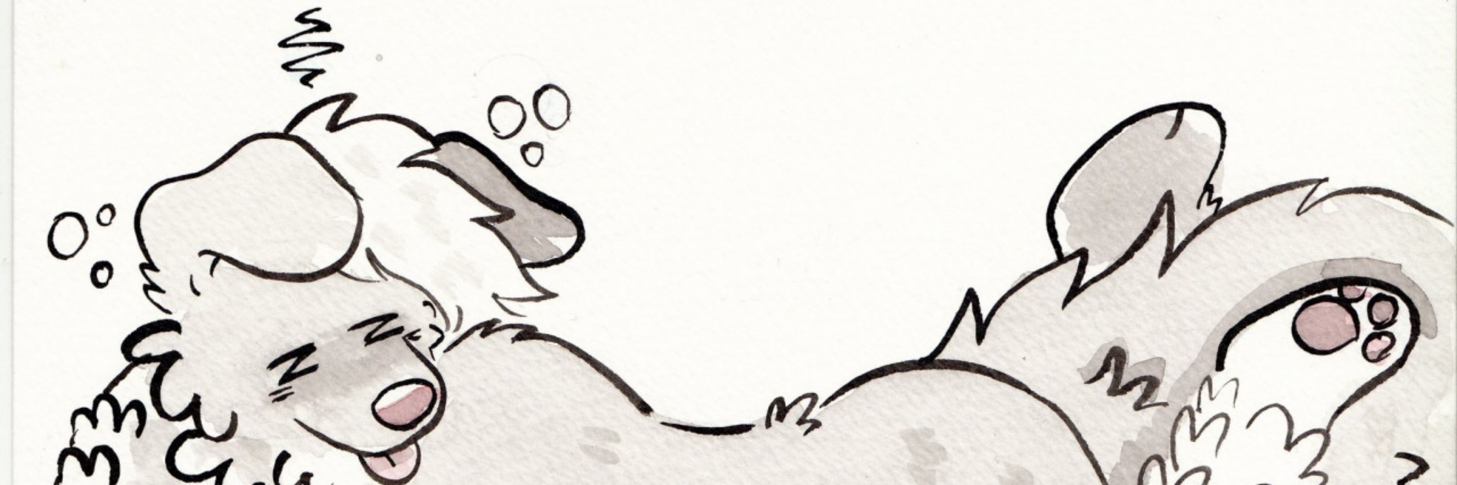 Fuzz (18+)