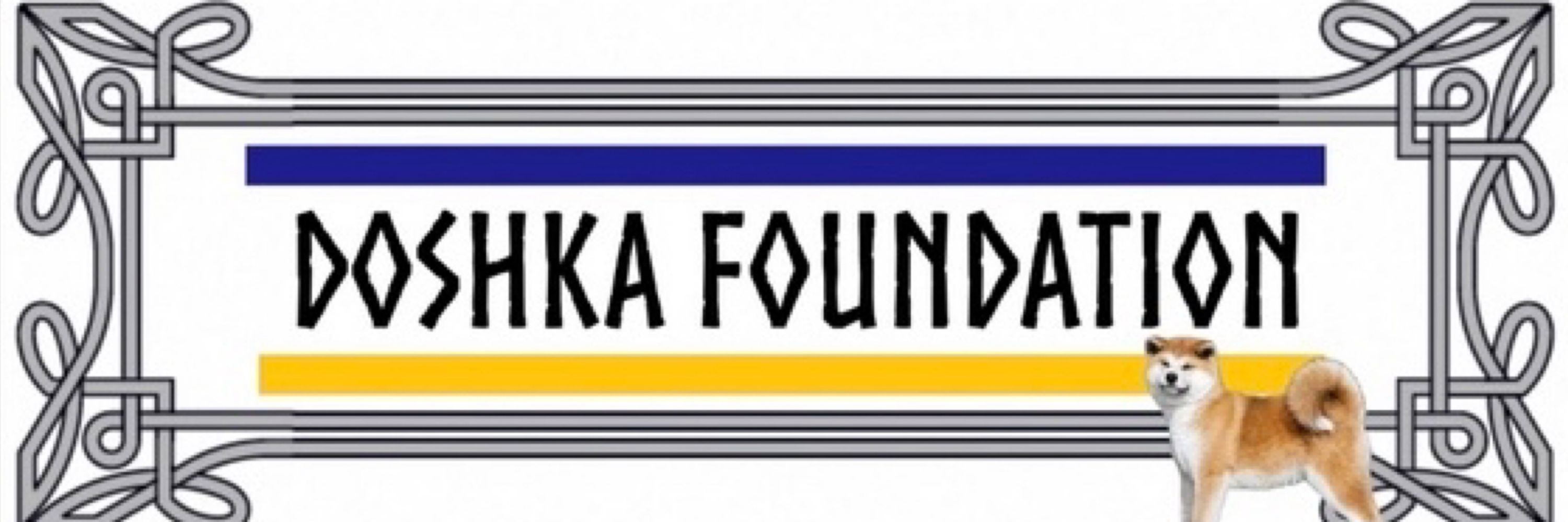 Doshka Foundation 🇫🇷🇺🇦