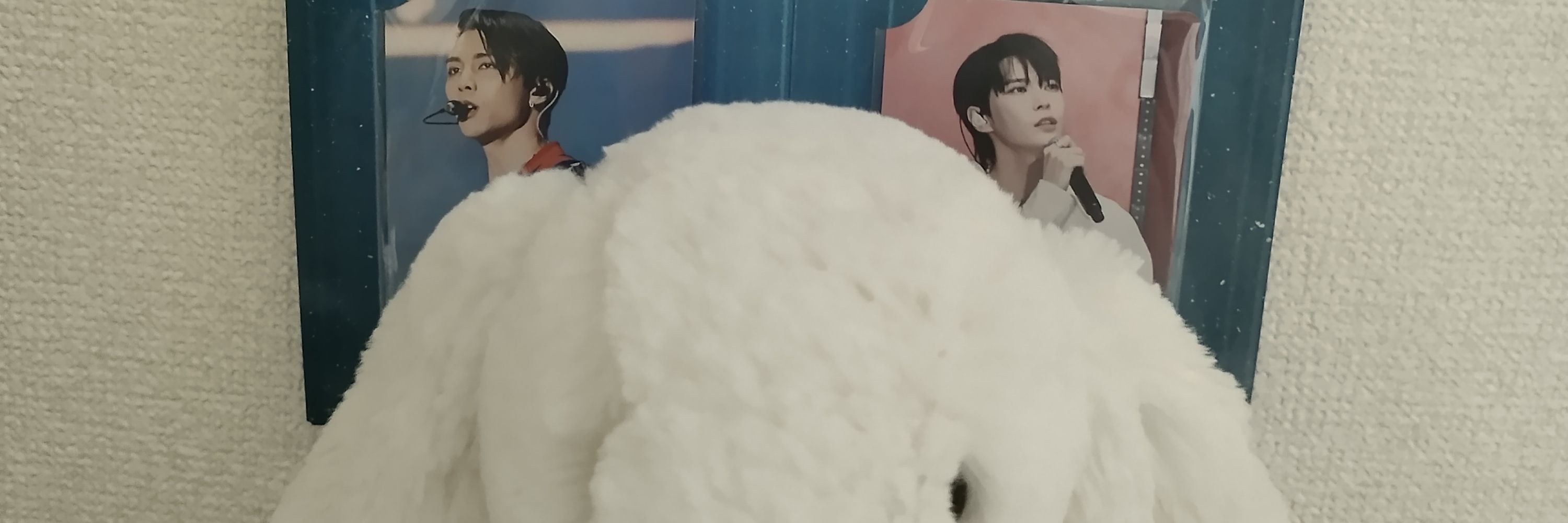 🐈市猫神　道兎乃🐇