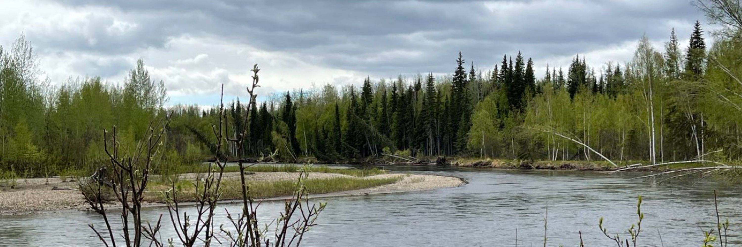Random Alaskan