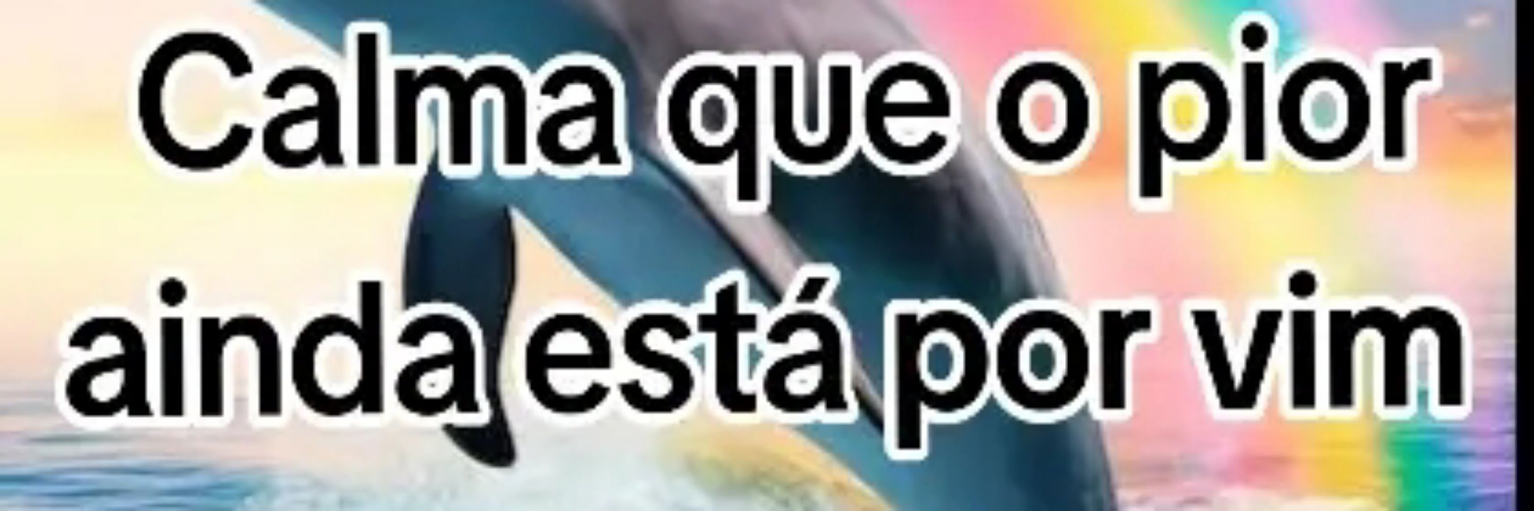 Jorge ✅️