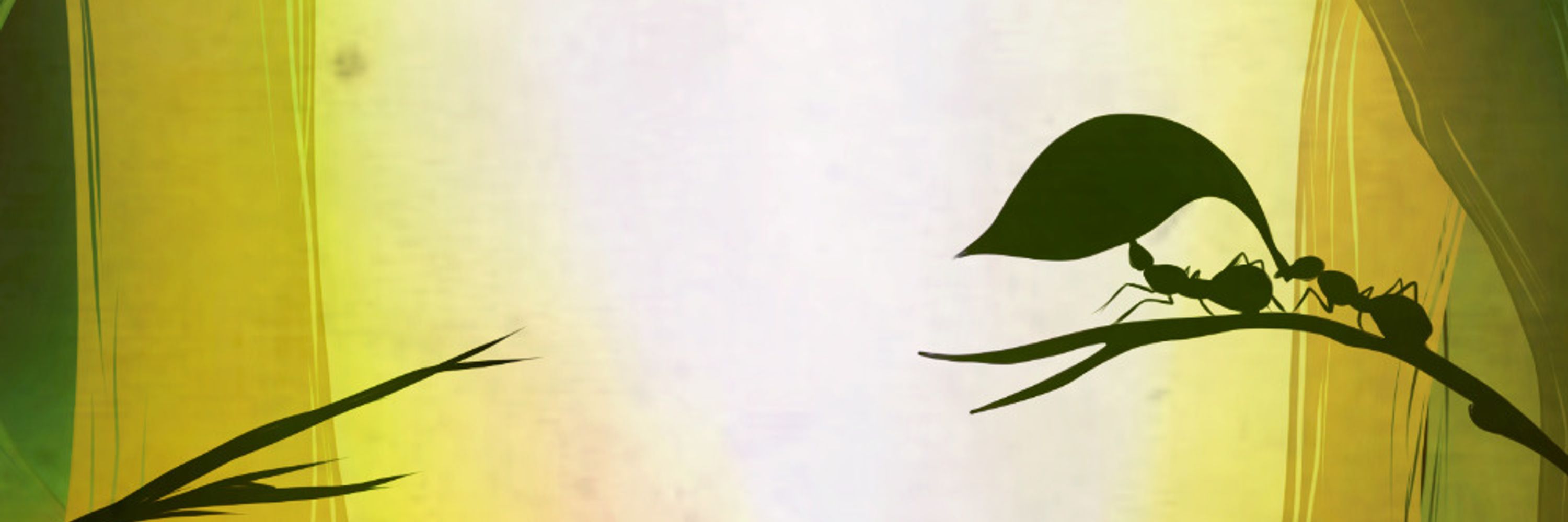 Sabuke