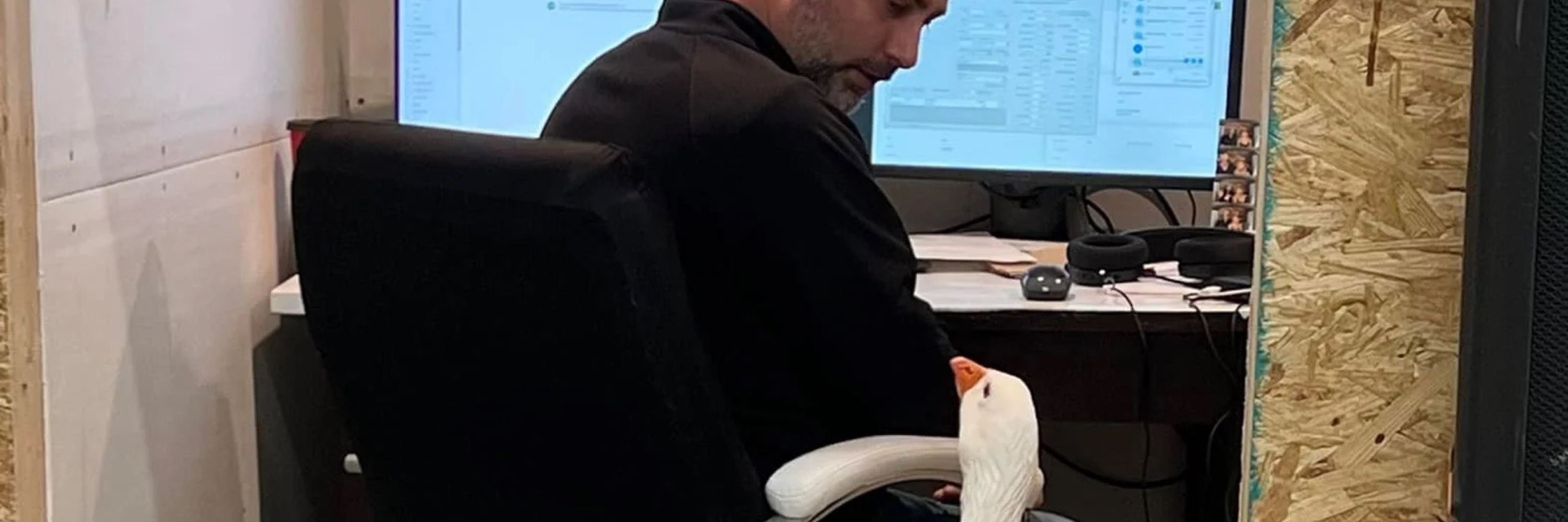 goosewatch support